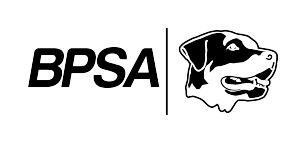 BPSA s.r.o. - logo